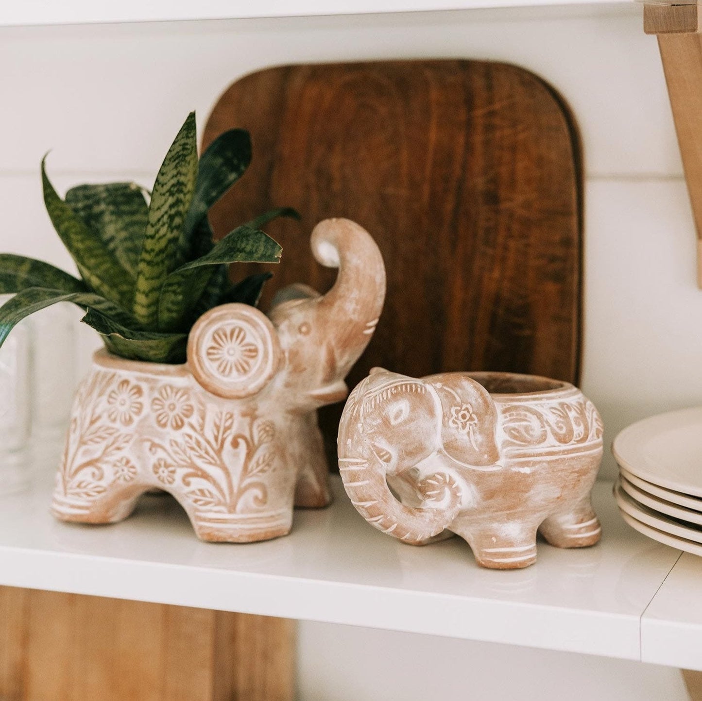 Elephant Planter