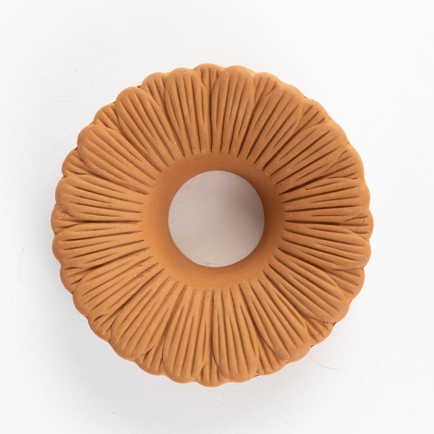Floral Seed Sprouter Set