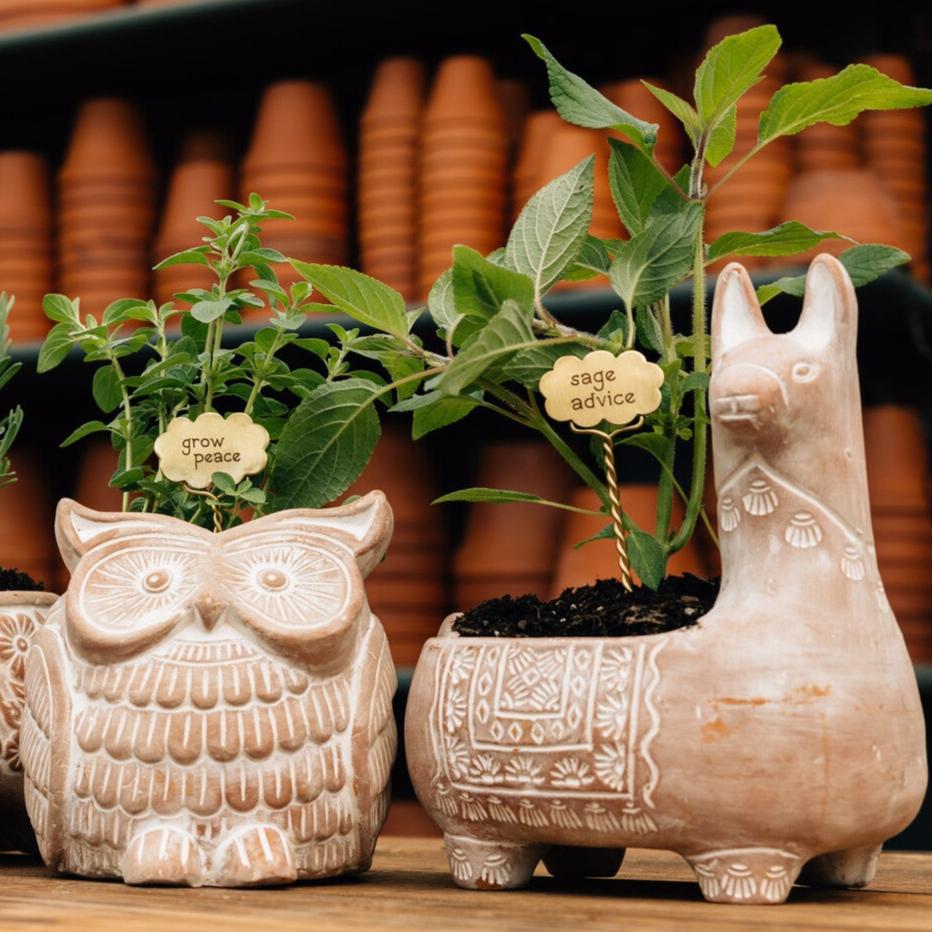 Llama Terracotta Planter