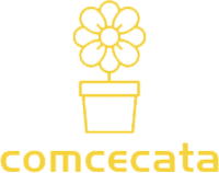 Commerce Catalyst SolutionsLIMITED