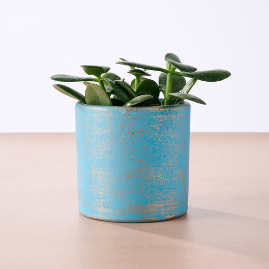 Terracotta Mini Planter - Light Blue
