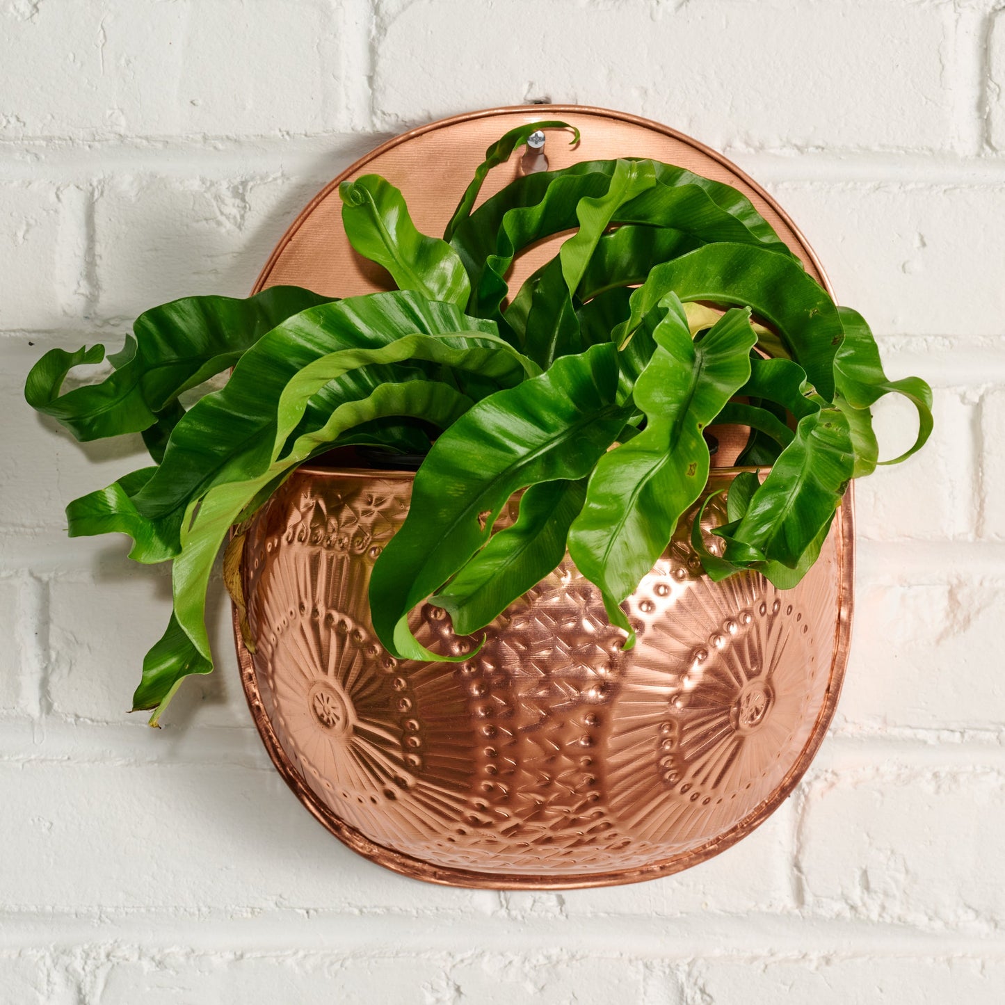 Embossed Wall Planter