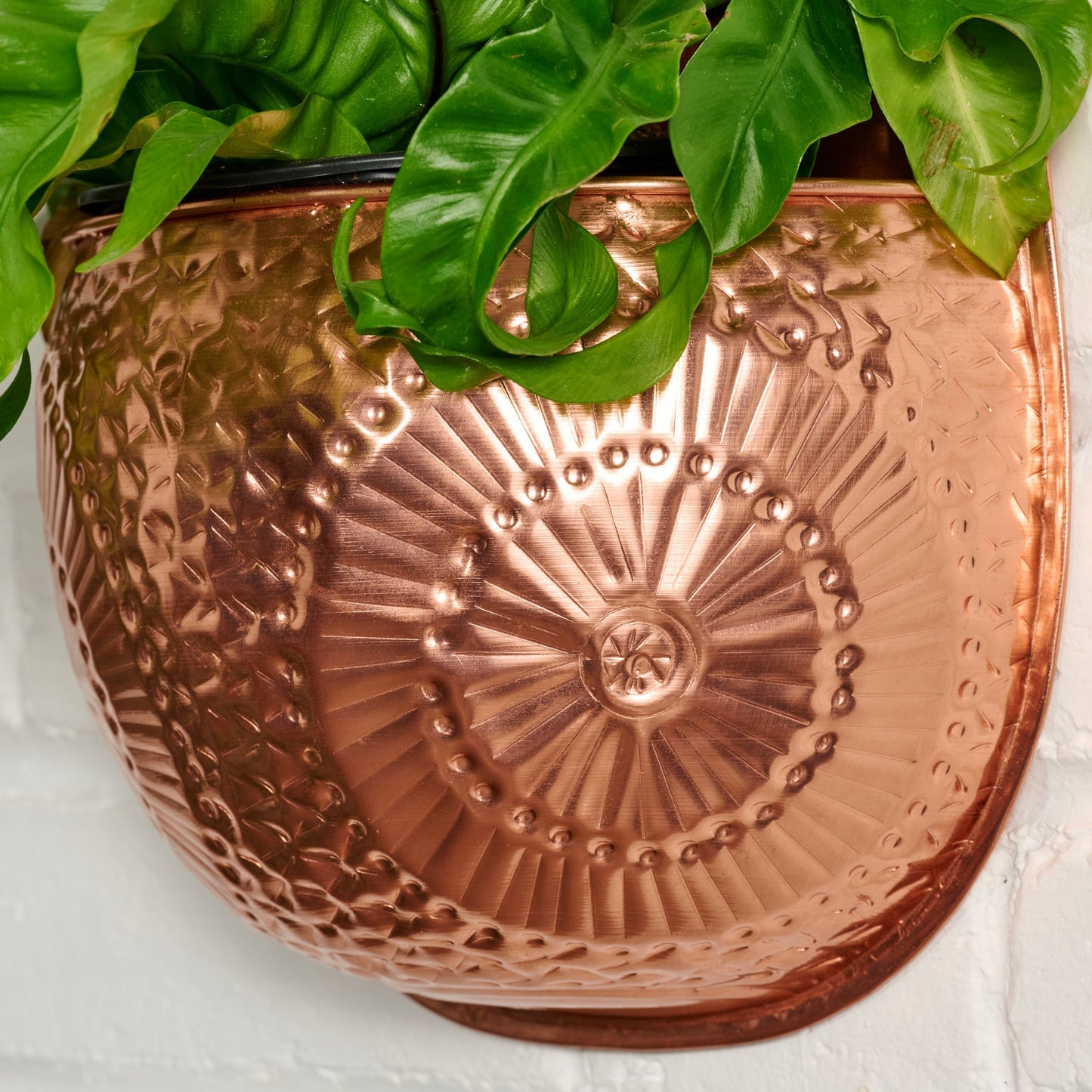 Embossed Wall Planter