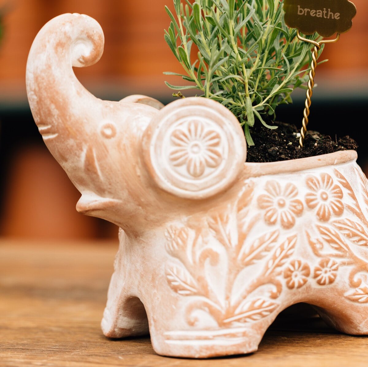 Trumpeting Elephant Planter